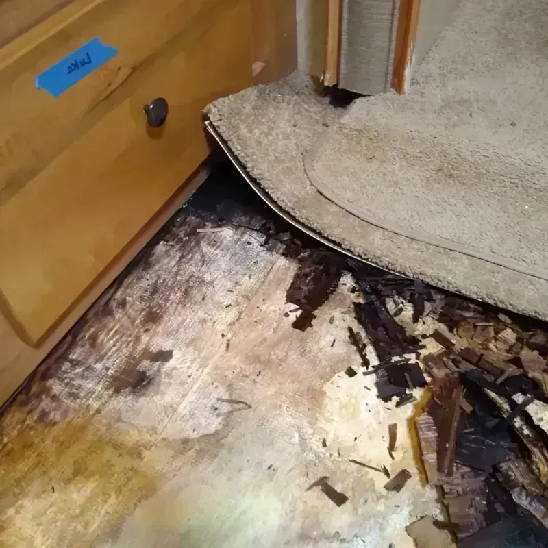 Wood Floor Water Damage in Plymouth, MI